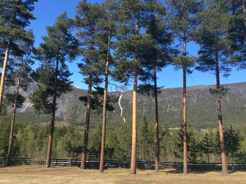 Furuly Camping Nordberg Экстерьер фото