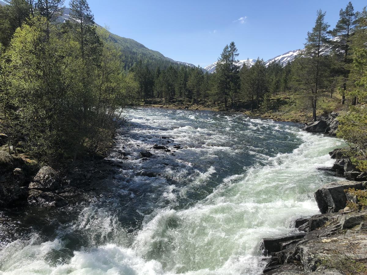 Furuly Camping Nordberg Экстерьер фото